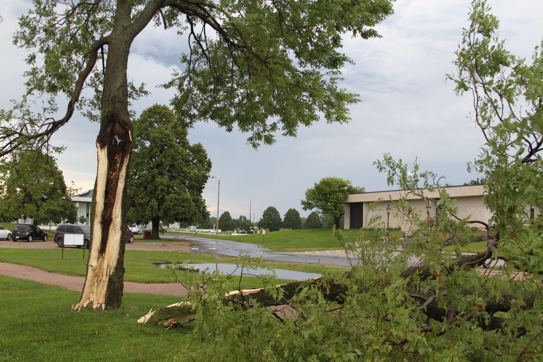 Sthur Museum Damage
